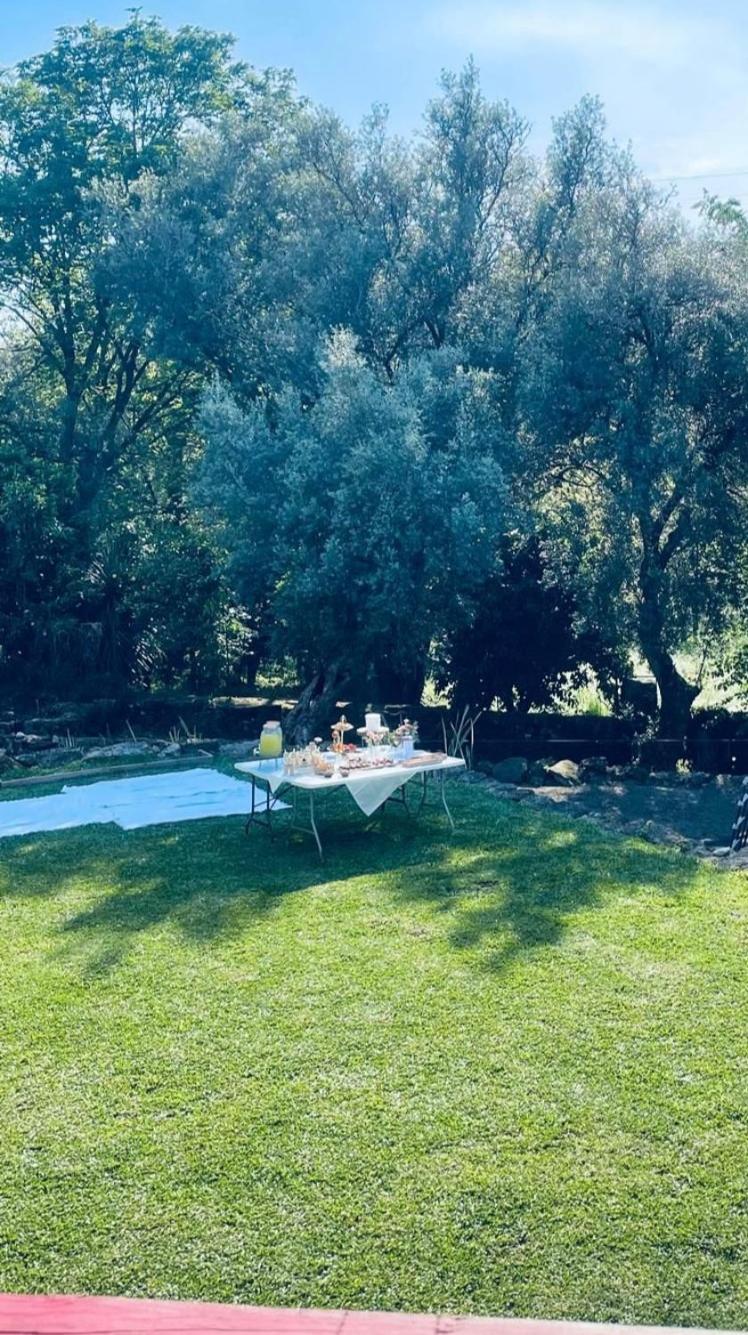 Casa Nova Oliveiras Hébergement de vacances
